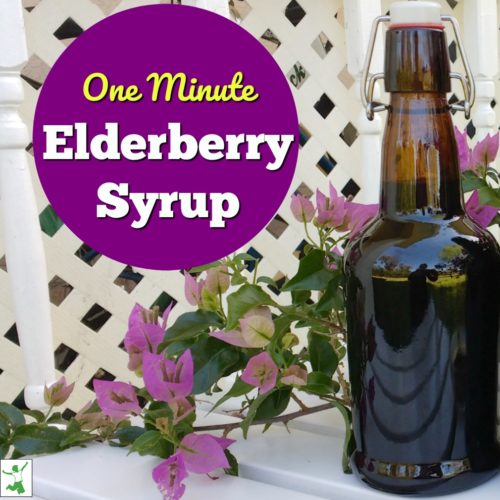 One Minute, No Cook Elderberry Syrup Healthy Home Economist