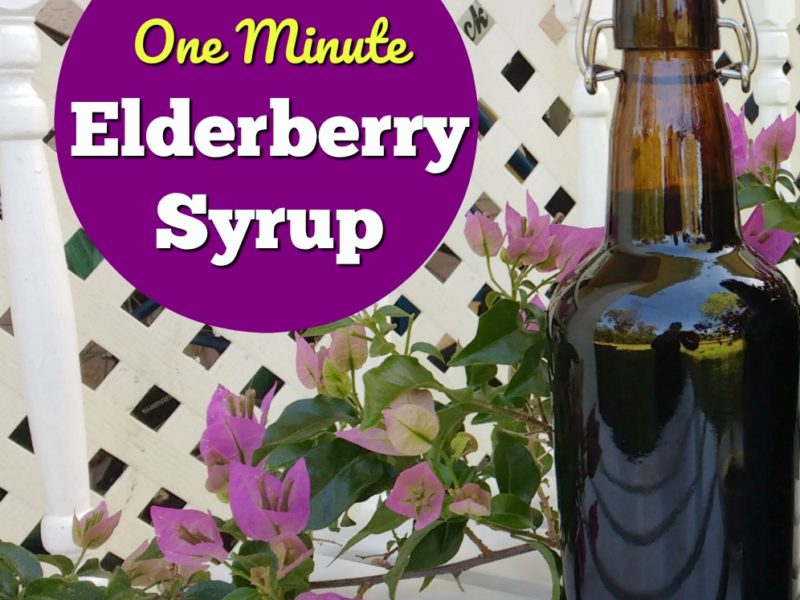 fast no cook elderberry syrup in a bottle