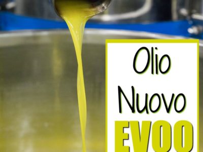 Olio Nuovo Olive Oil. What it is and Why to Try 1