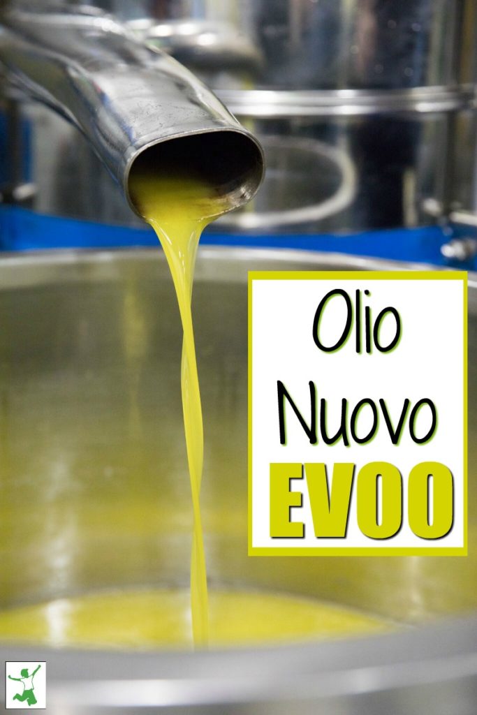 Olio Nuovo Olive Oil