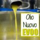 Olio Nuovo Olive Oil. What it is and Why to Try 1