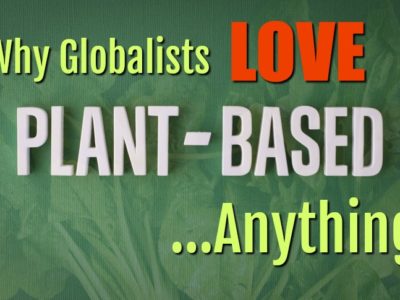 plant based globalists