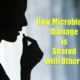 microbiome sharing