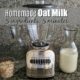 homemade oat milk ingredients