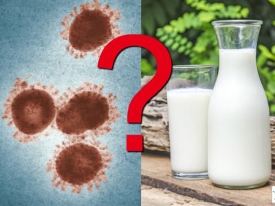 coronavirus and raw milk safety