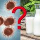 coronavirus and raw milk safety