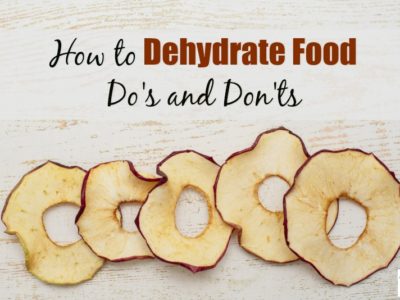 diy dehydrated food