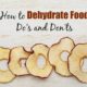 diy dehydrated food