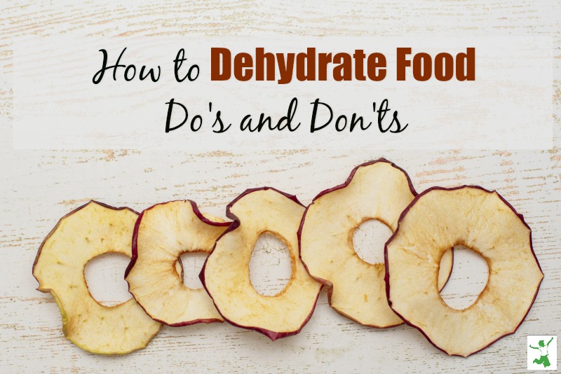 diy dehydrated food