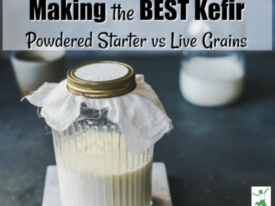 best kefir starter