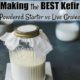 best kefir starter