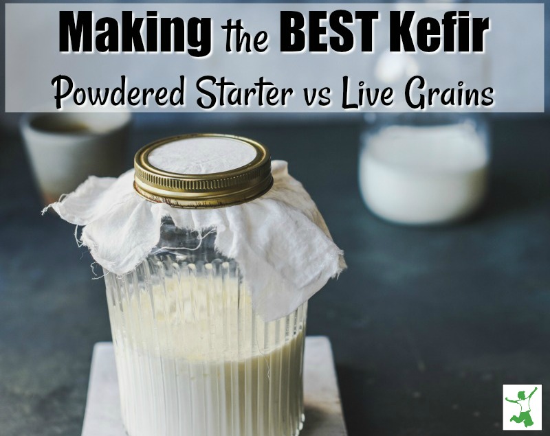 best kefir starter