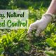 natural home weed control