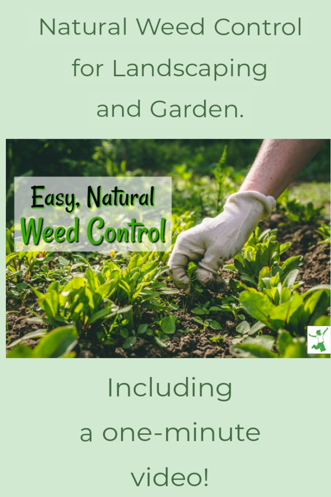 no herbicide weed control