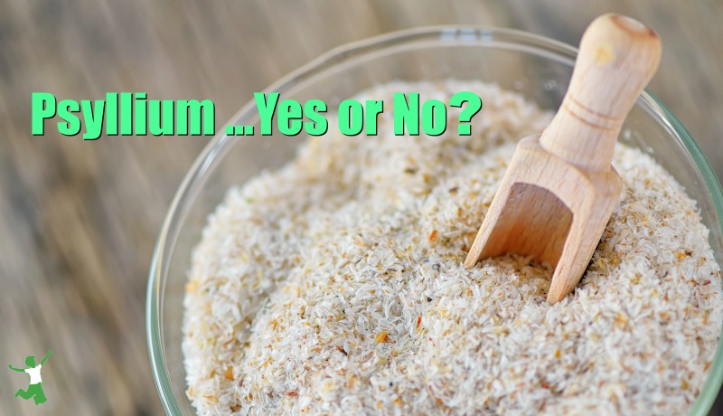 psyllium seed husks in a large glass bowl with a wooden scoop