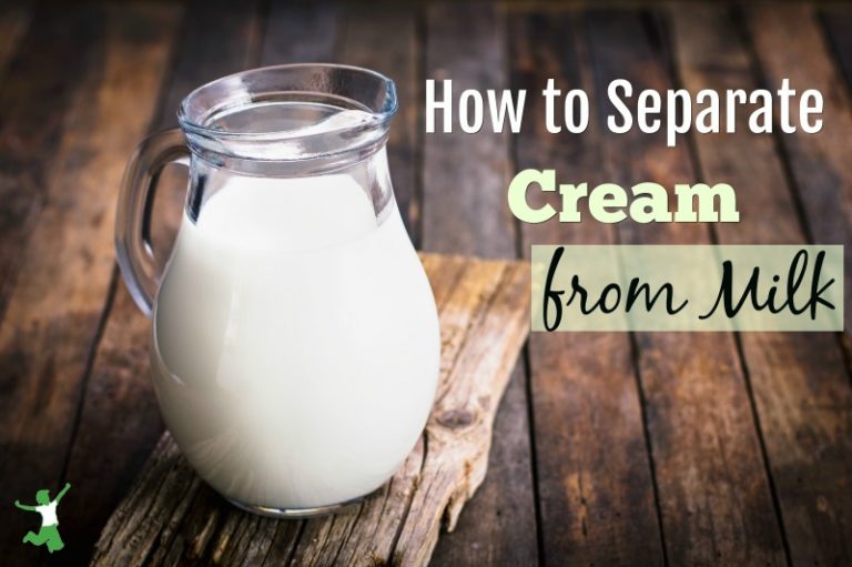 How to Separate Cream from Whole Milk Healthy Home Economist