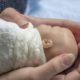 preterm baby in mother's hands