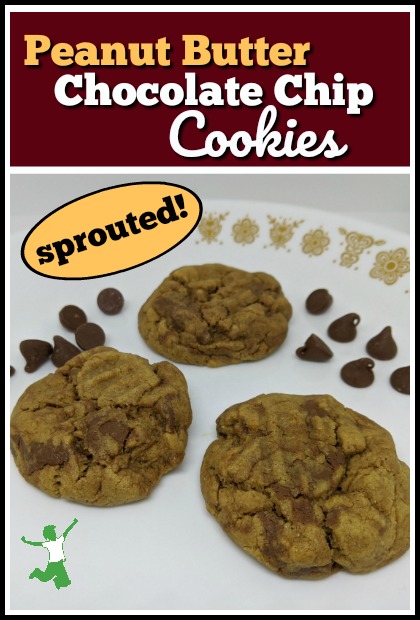 three sprouted peanut butter cookies on a plate with chocolate chips