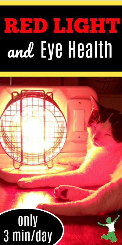 cat enjoying incandescent red light