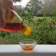 woman pouring pure honey into a bowl