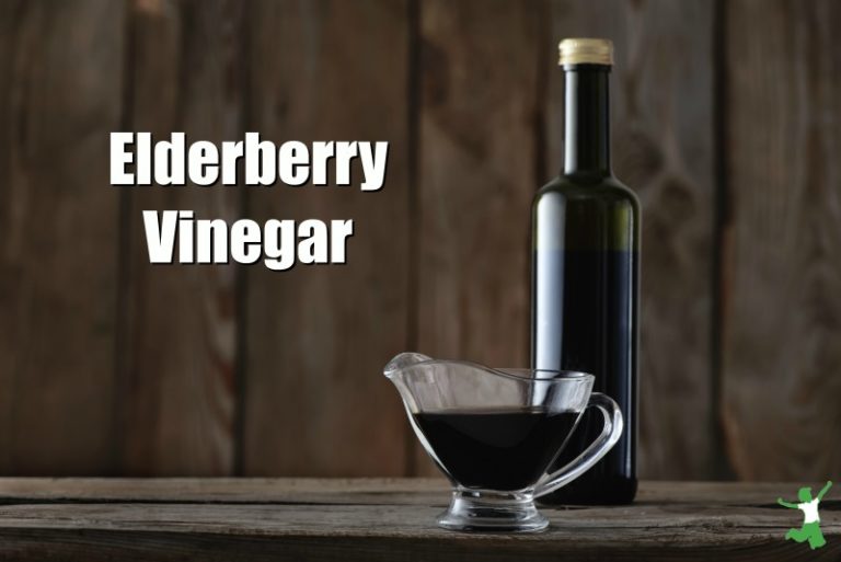 Homemade Elderberry Vinegar Healthy Home Economist