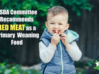 toddler boy eating a lamb kebob