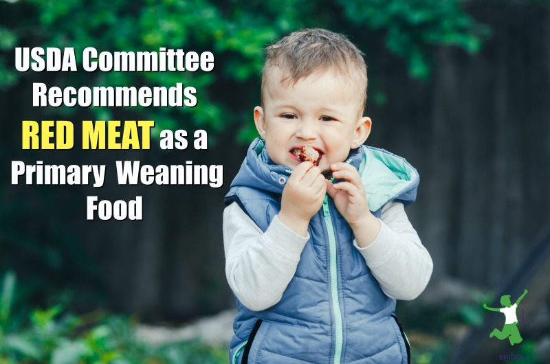 toddler boy eating a lamb kebob