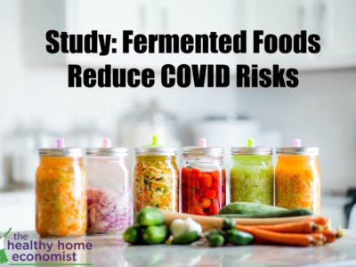 Variety of fermented food jars on a counter