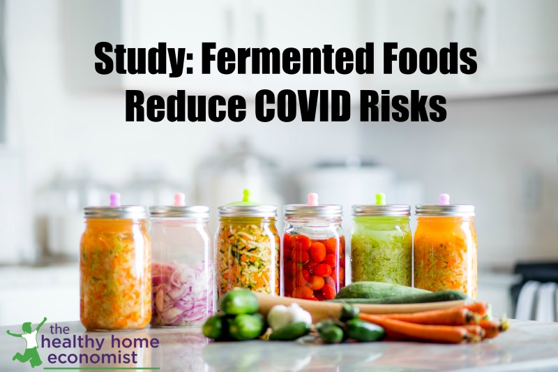 Variety of fermented food jars on a counter