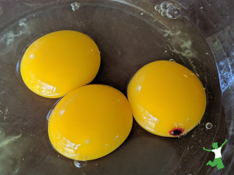 blood spot egg cracked in a glass bowl