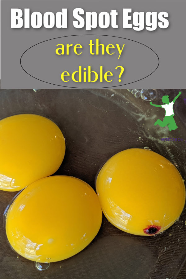 Eggs with Blood Spots. Are They Edible? Healthy Home Economist