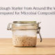 sourdough starter in a jar on a wooden counter