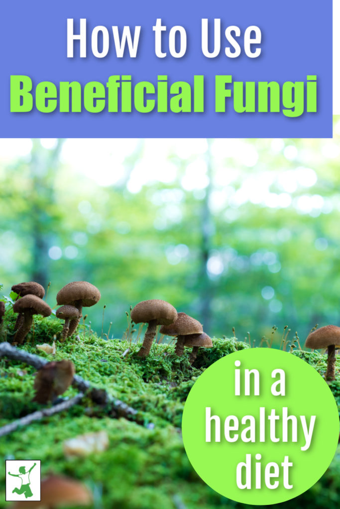 healthy mushrooms growing on mossy ground