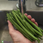 rinsing green beans in filtered water
