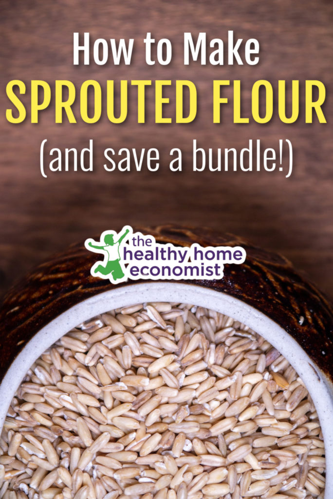 sprouted grain kernels in a white bowl