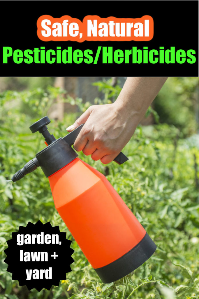 woman with gallon sprayer with green herbicides