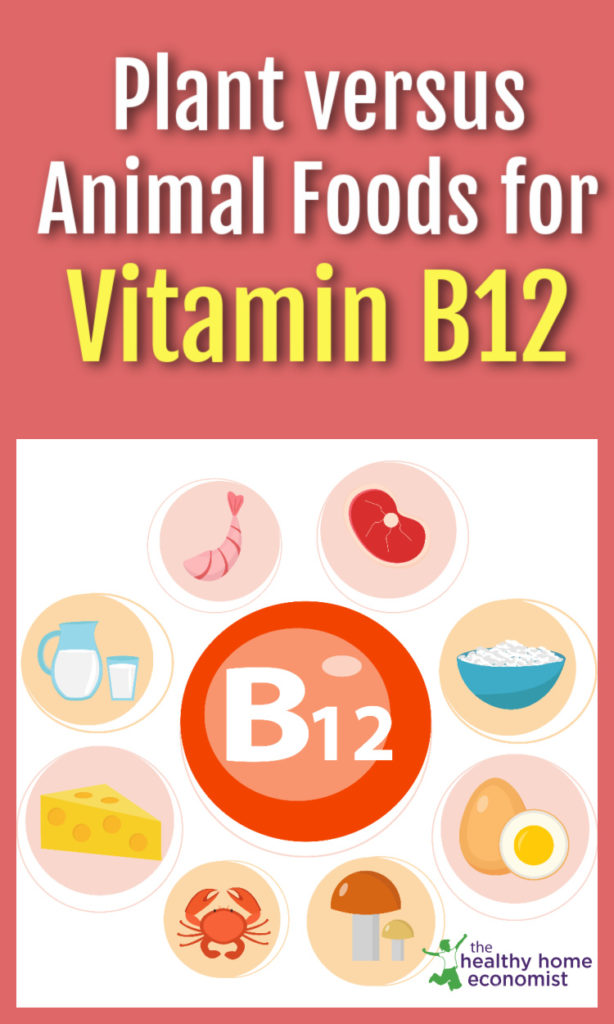 different B12 food sources on a white background