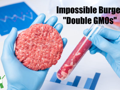 plant based meat patty containing double GMO