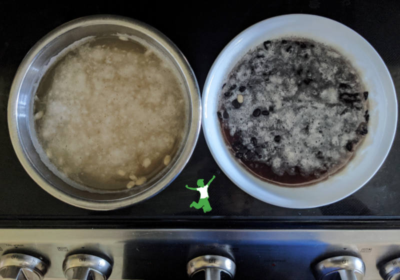 sprouted black beans soaking in a white bowl