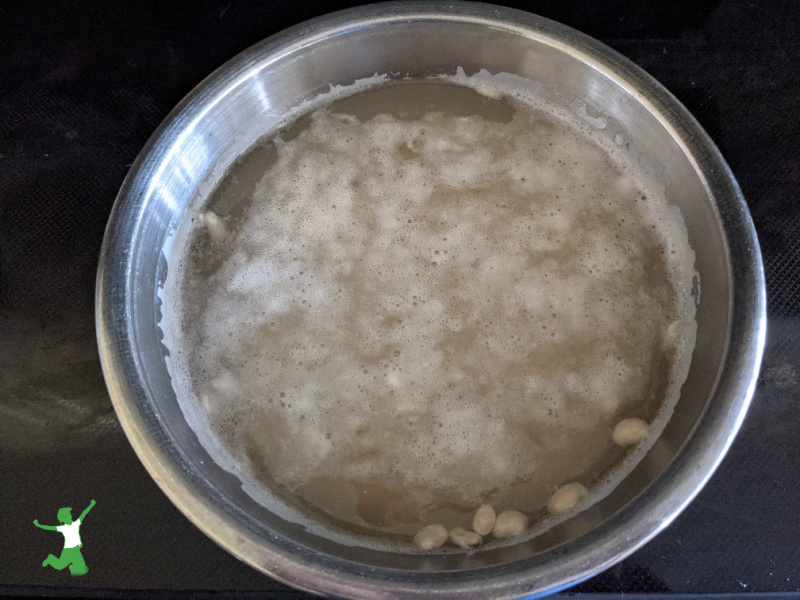 sprouted navy beans soaking in a stainless bowl