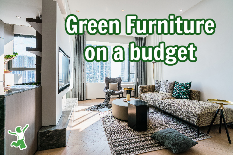 green organic living room furniture purchased on a budget