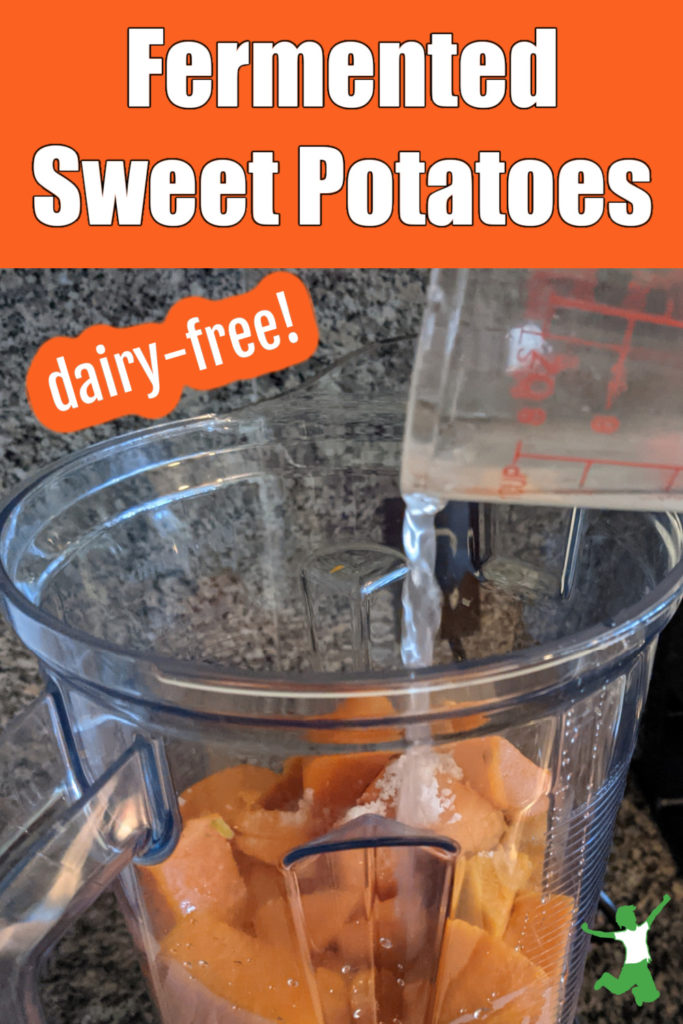 cultured sweet potatoes in a blender with sea salt and sauerkraut juice