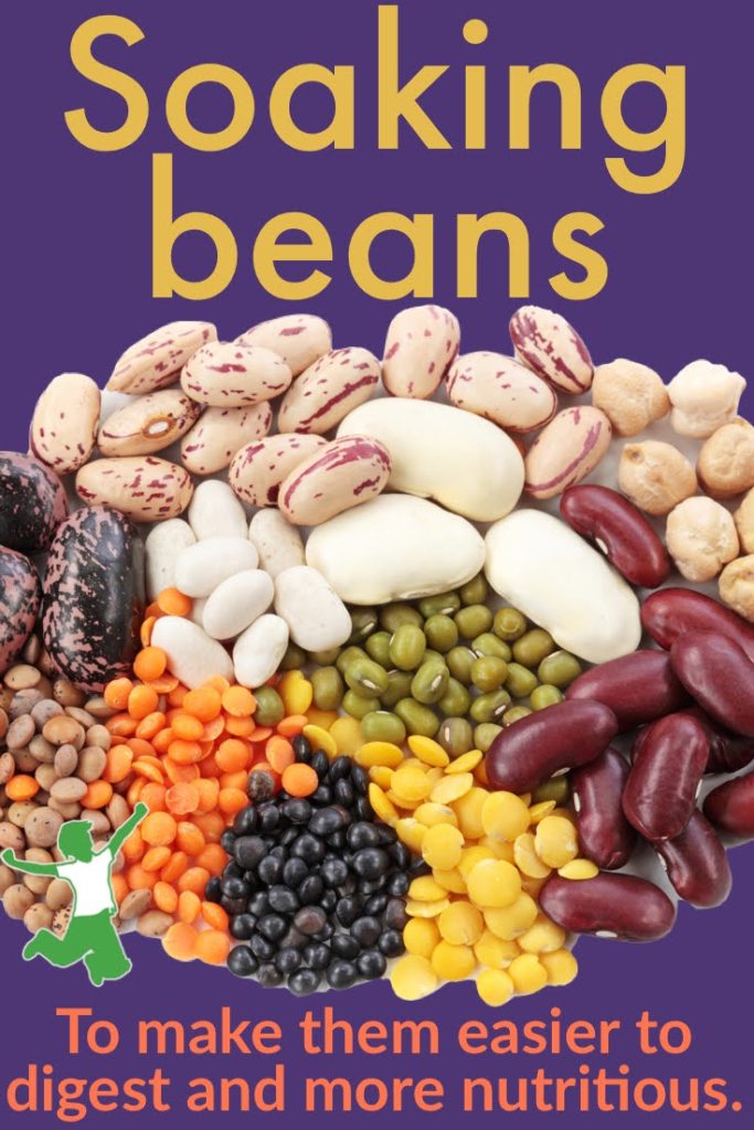 different types of beans for soaking on a purple background