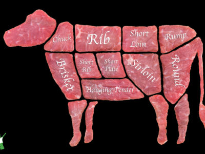 cow diagram to help with buying beef shares