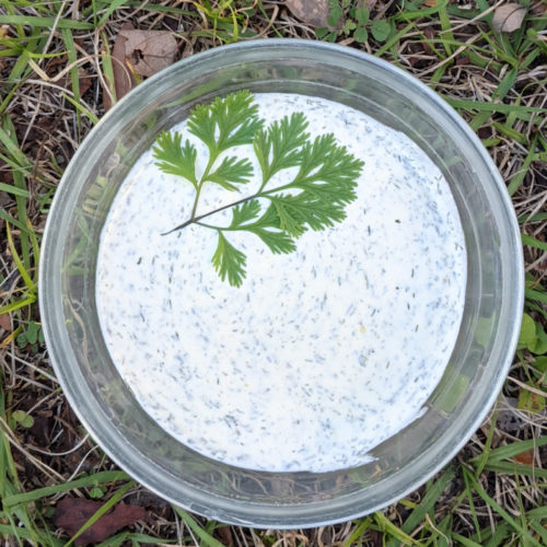 Tangy & Creamy Dill Sauce Healthy News