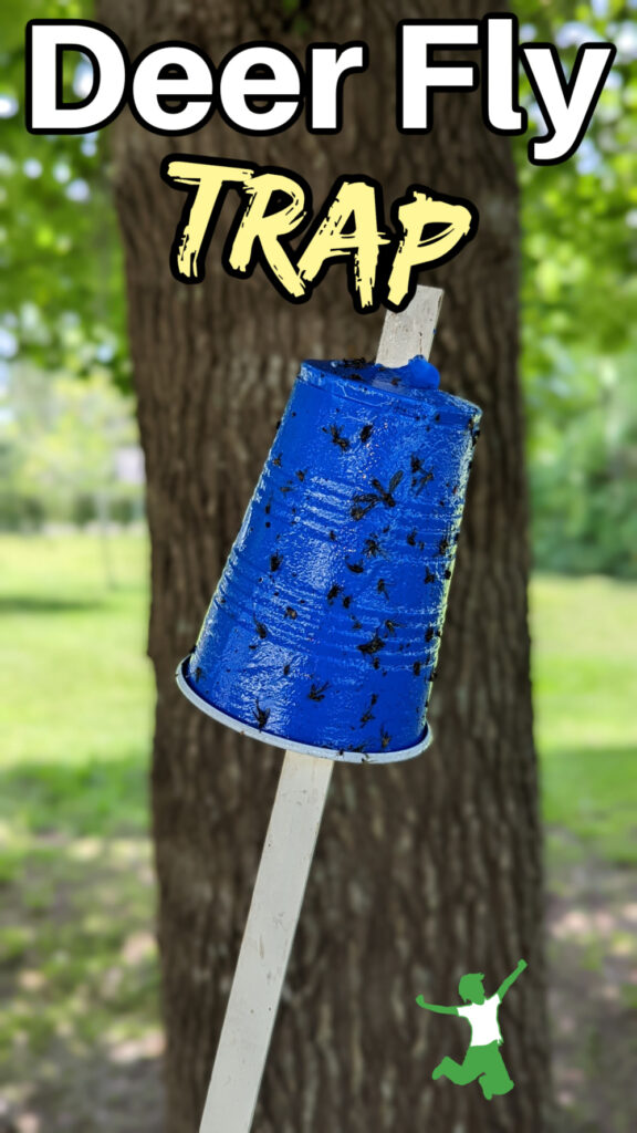 blue sticky cup deer trap on white pole tree background