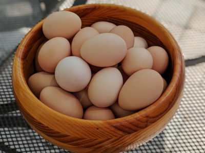 fresh eggs in wooden bowl