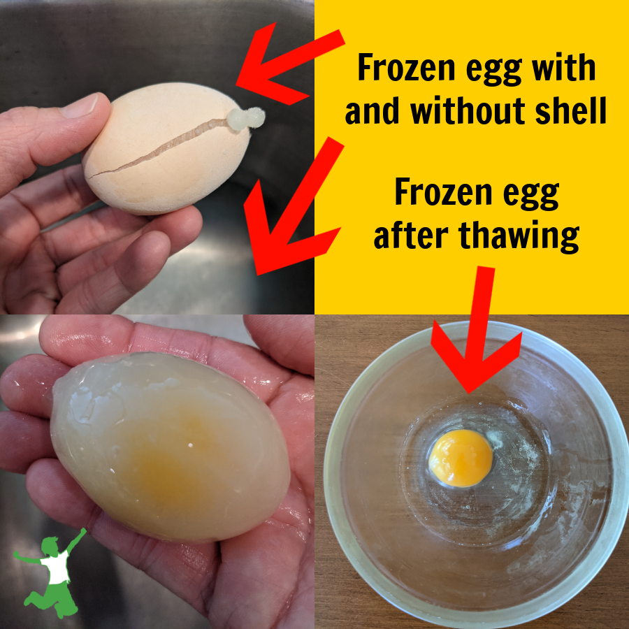 woman holding a frozen egg and thawed egg in a glass bowl
