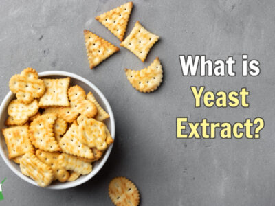 yeast extract crackers in a white bowl grey background