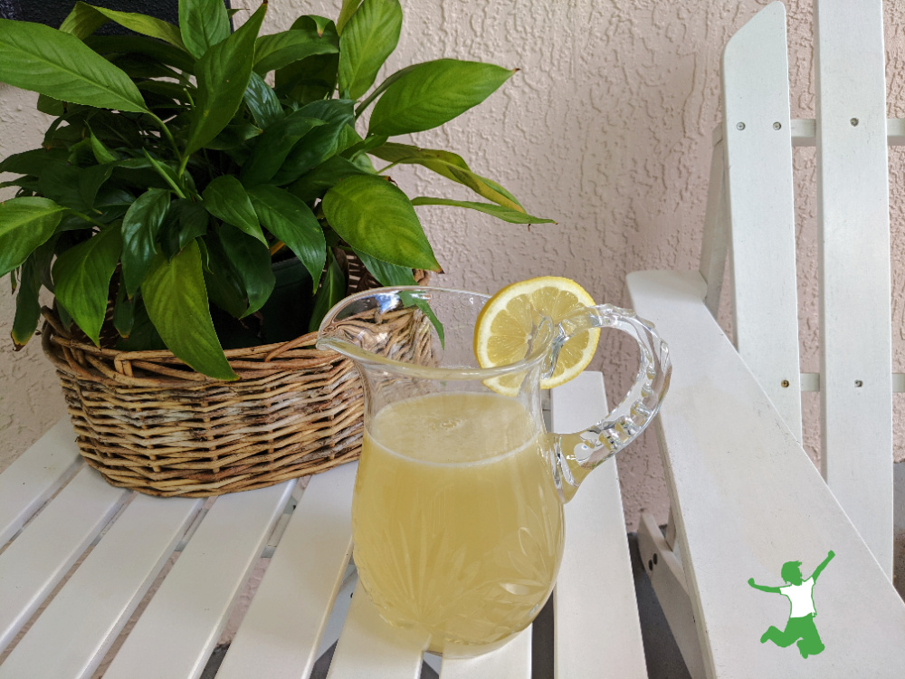 fermented honey lemonade in crystal pitcher with plant background